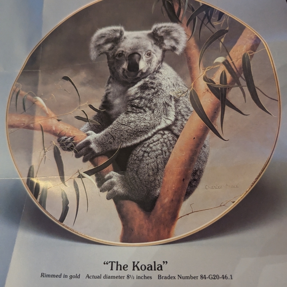 Koala art plate Charles Frace'*collectible plate*The Koala plate #8737B